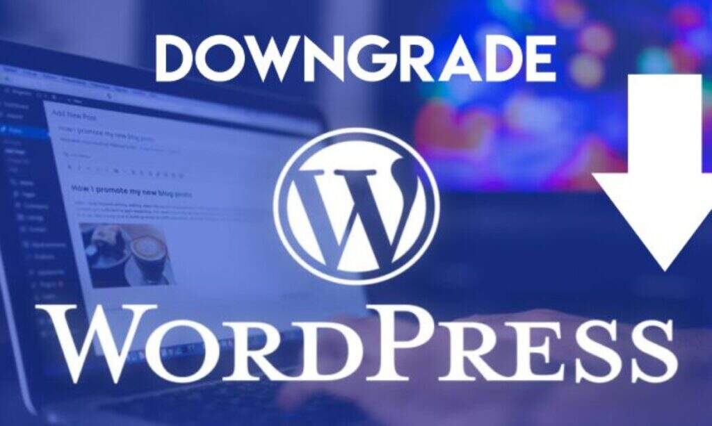 如何实现WordPress网站降级（用于解决插件和主题问题）__wordpress教程