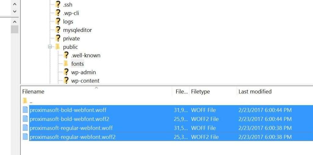 在WordPress网站服务器托管Web字体的深入指南__wordpress教程